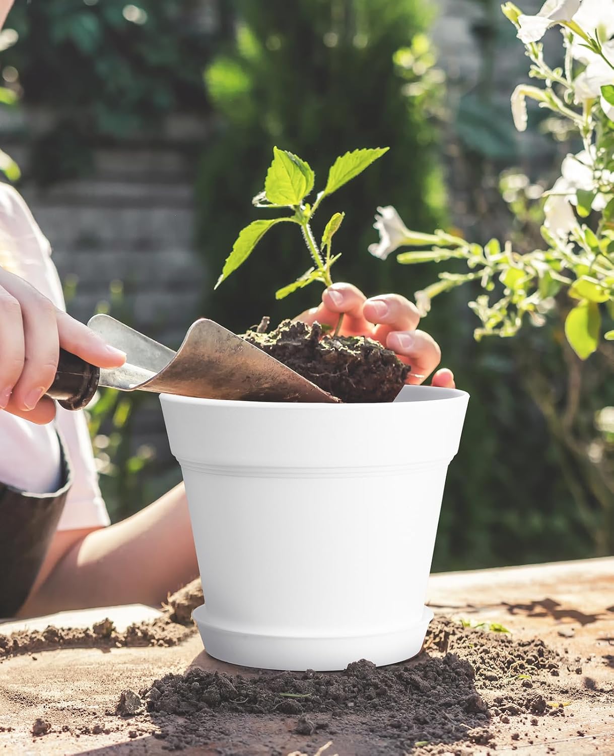 Homenote Pots for Plants, 15 Pack 6 Inch Plastic Planters with Multiple Drainage Holes and Trays,Plant Pots for All Home Garden Flowers Succulents (White) - Image 3