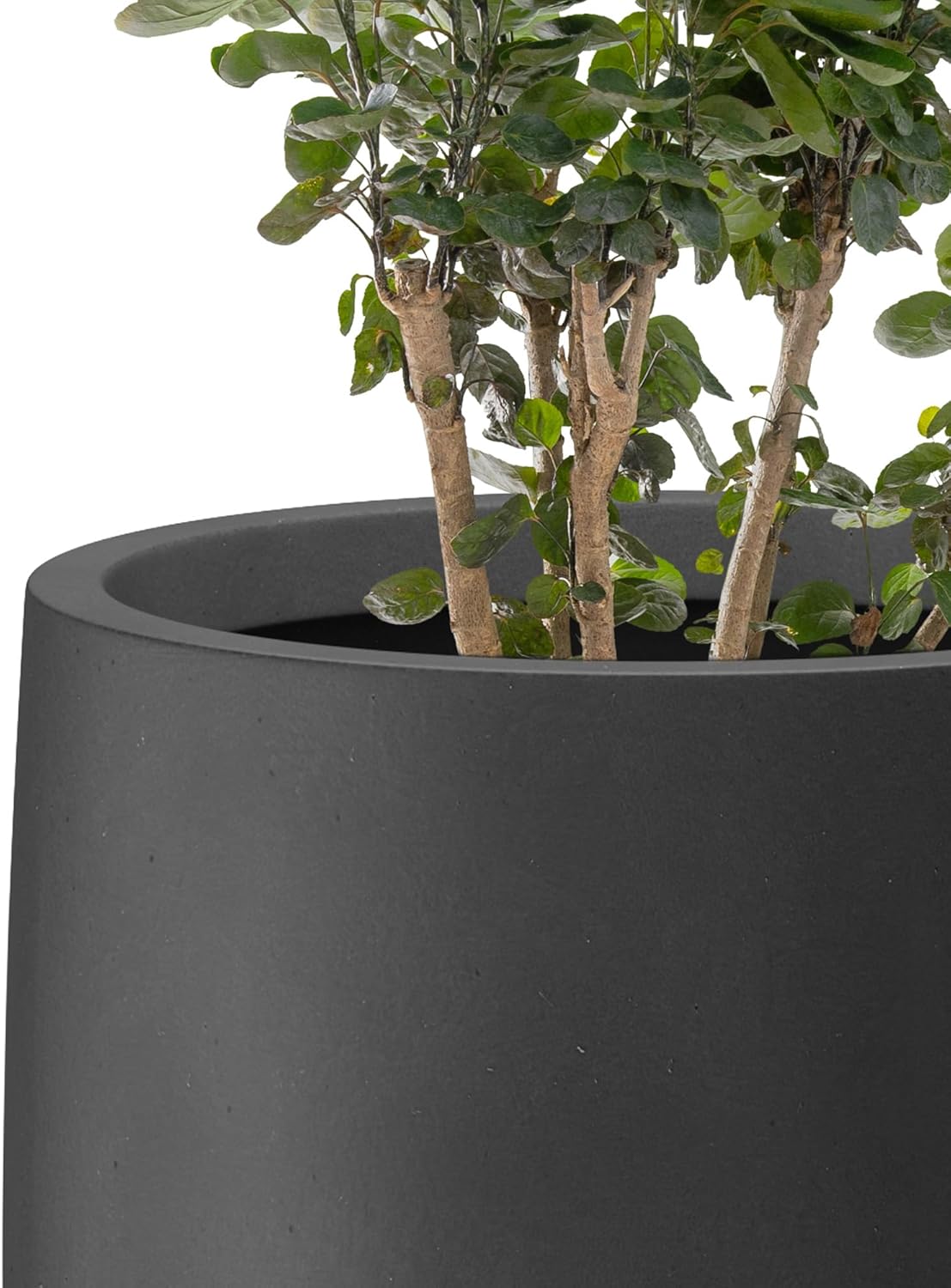 Kante 21.7" H Natural Concrete Tall Planter, Large Outdoor Indoor Decorative Pot with Drainage Hole and Rubber Plug, Modern Round Taper Style for Home and Patio Burnished Black - Image 7